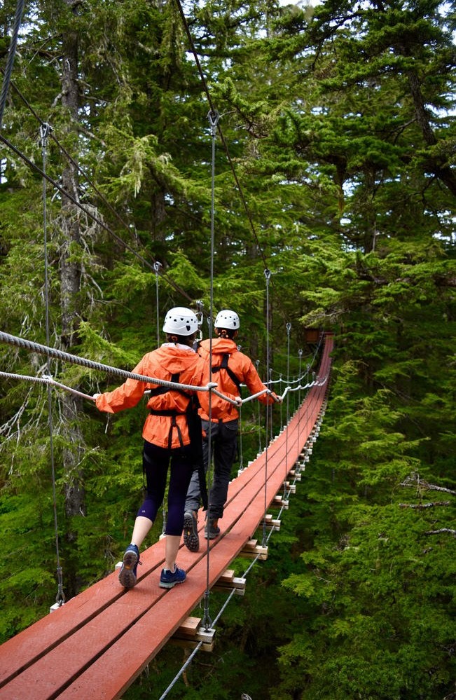 Alpine Zipline Adventure Juneau Alaska ALASKA ORG   Alaska Alpine Zipline Adventures Juneau DSC 1337 Alaska Zipline Adventures 74364932a5 